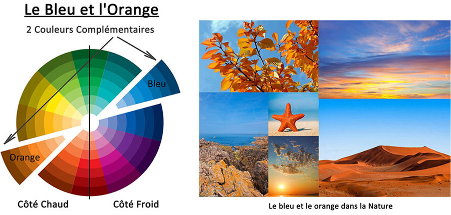 les couleurs complémentaires dans la nature : ciel bleu et terre orange feuilles oranges étoile de mer rouge, ciel couchant bleu et orange